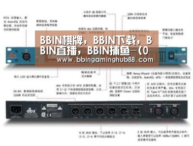 BBIN棋牌，BBIN下载，BBIN直播，BBIN捕鱼